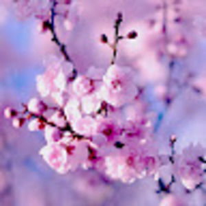 Meet your Posher, Camille